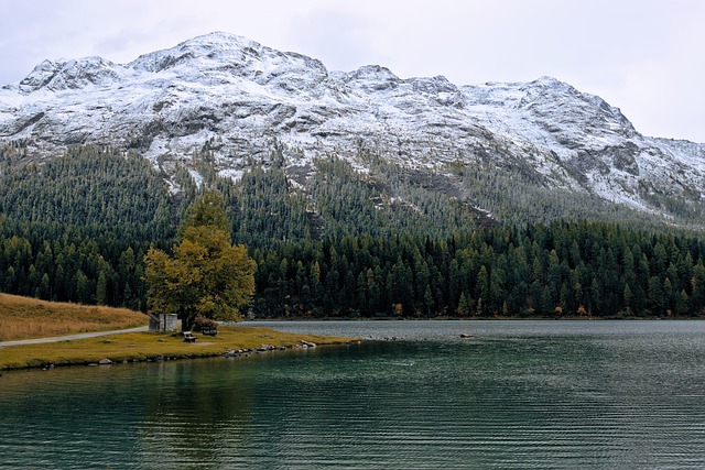 landscape