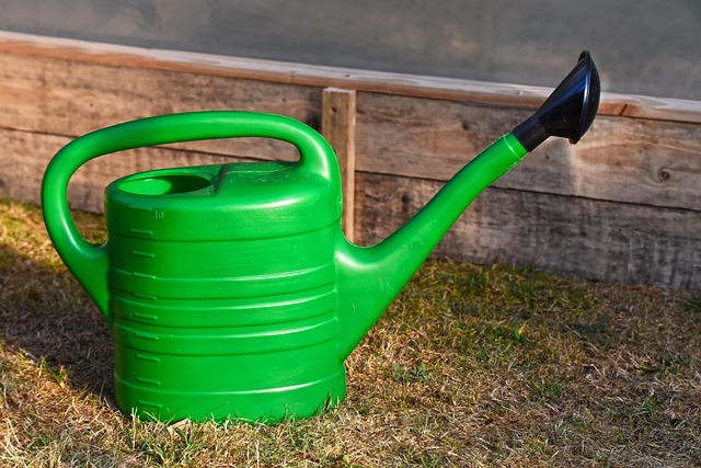 Lawn Care