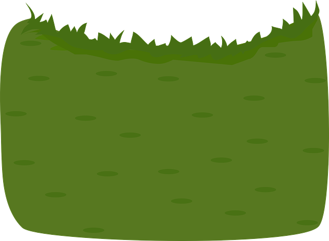 lawn-care-640x480-51778394.png