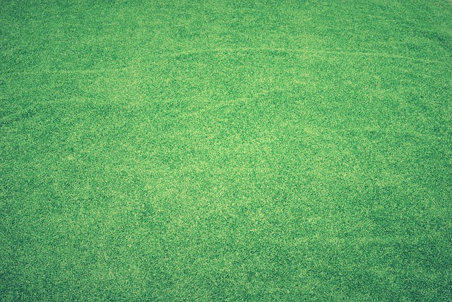 lawn-care-640x480-52186775.jpeg