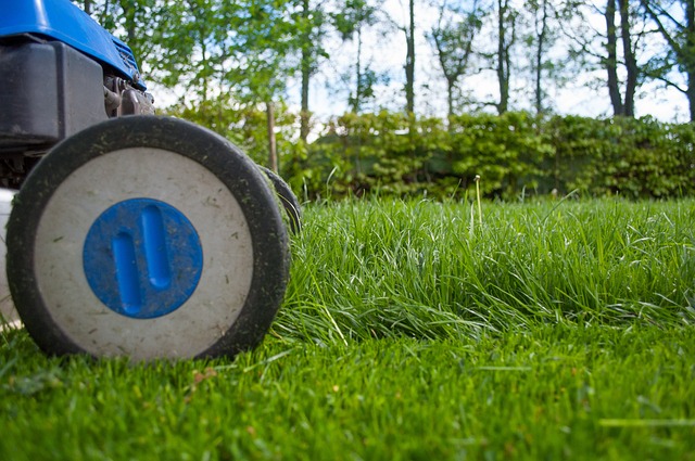 lawn-care-640x480-5574596.jpeg