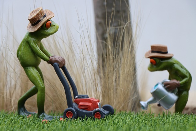 lawn-care-640x480-70512421.jpeg