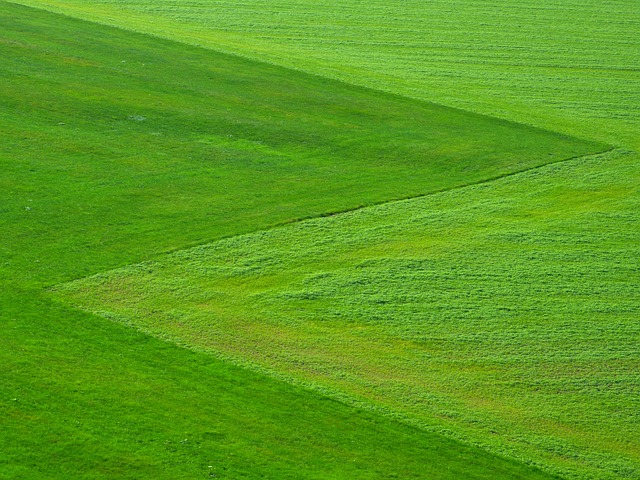 Lawn Care