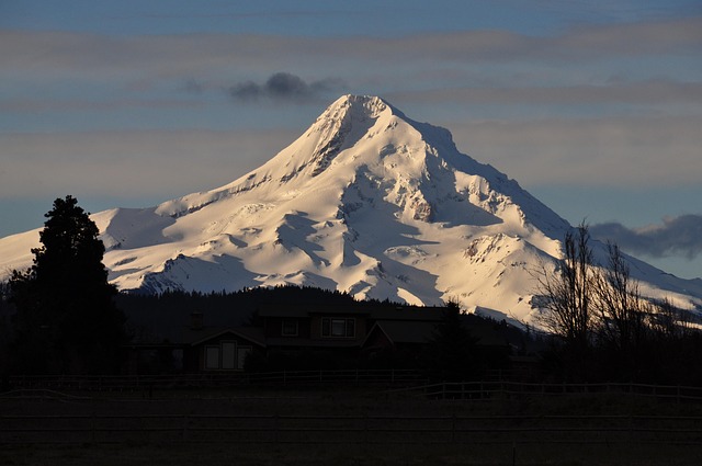 laws, Oregon, child, policy, rights, legal