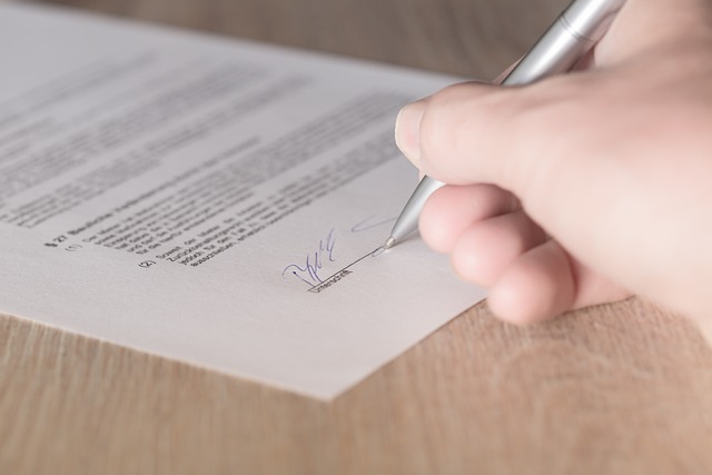 lease, contract, terms, student, rental, agreement