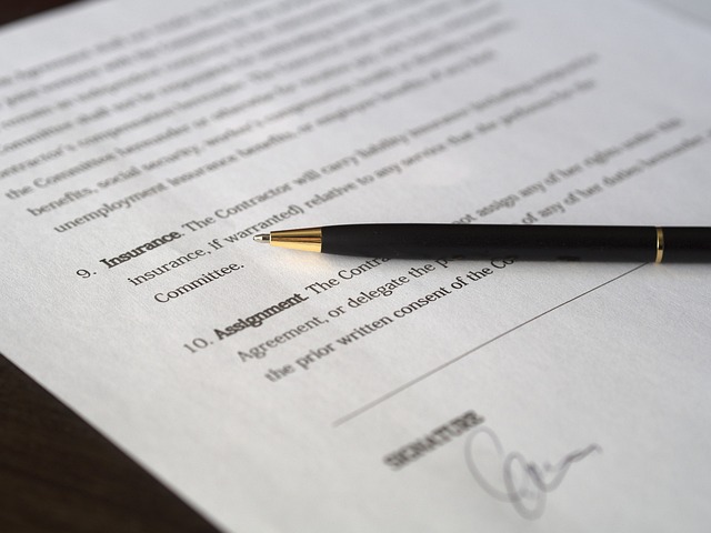 lease, contract, terms, student, rental, agreement