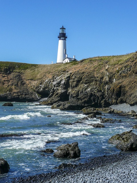 legal, support, Oregon, child, welfare, assistance