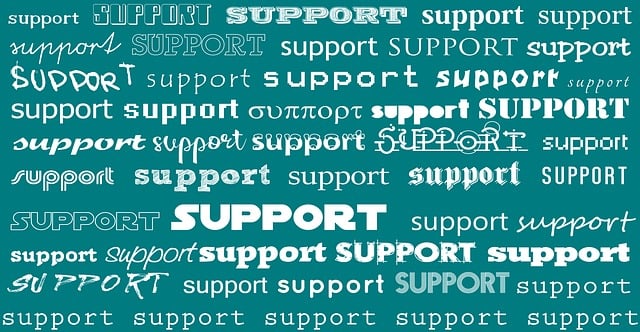 legal, support, Oregon, child, welfare, assistance