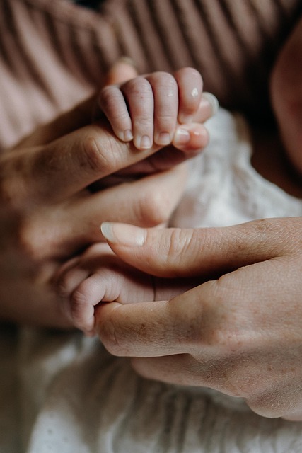 legal, support, Oregon, child, welfare, assistance