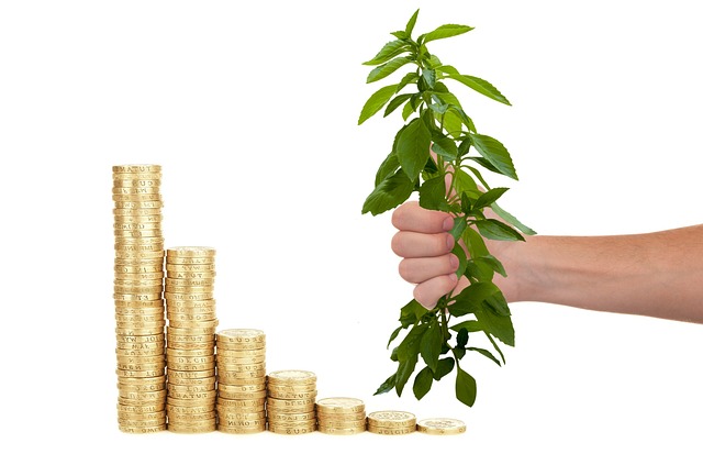 Lender, finance, business, credit, negotiation, bank