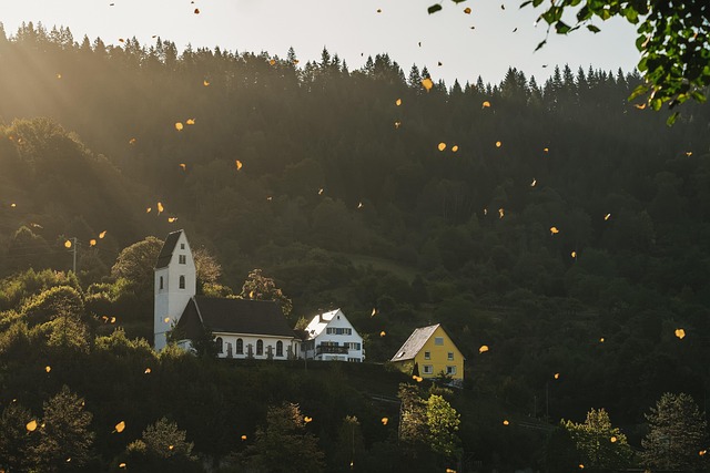 lights
