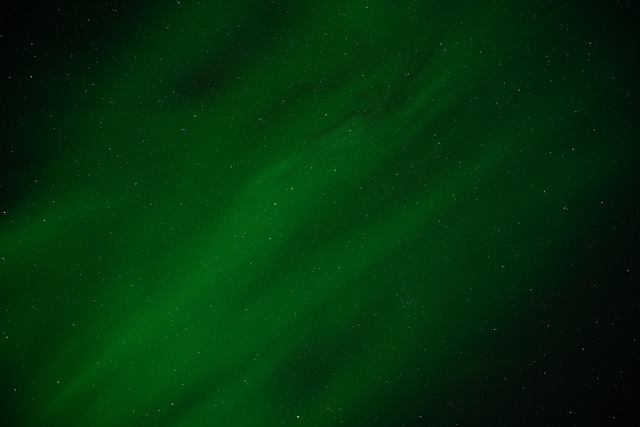lights