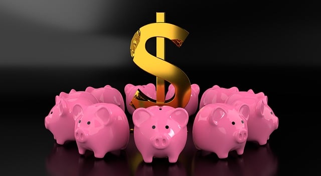 loan, interest, lender, selection, criteria, terms