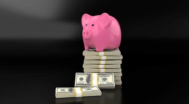 loan, interest, lender, selection, criteria, terms