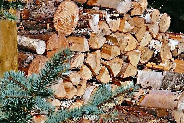 logging
