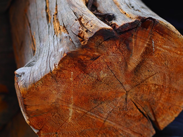 logging