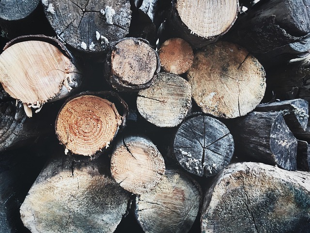logging