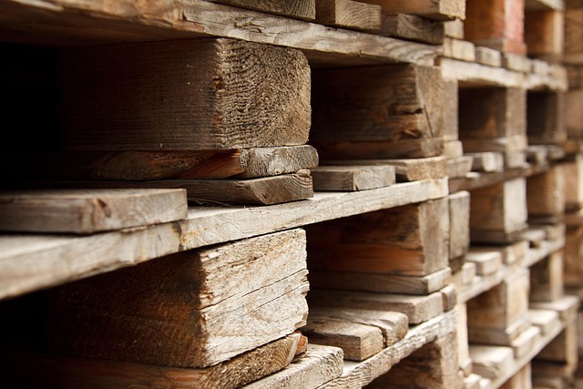 logging-timber-sawmills-forests-oregon-i-640x480-15420492.jpeg