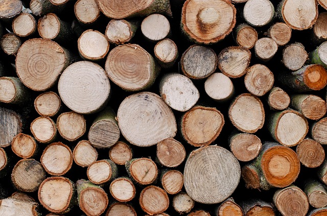 logging, timber, sawmills, forests, Oregon, industry