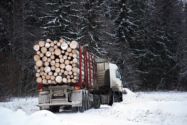 logging, timber, sawmills, forests, Oregon, industry