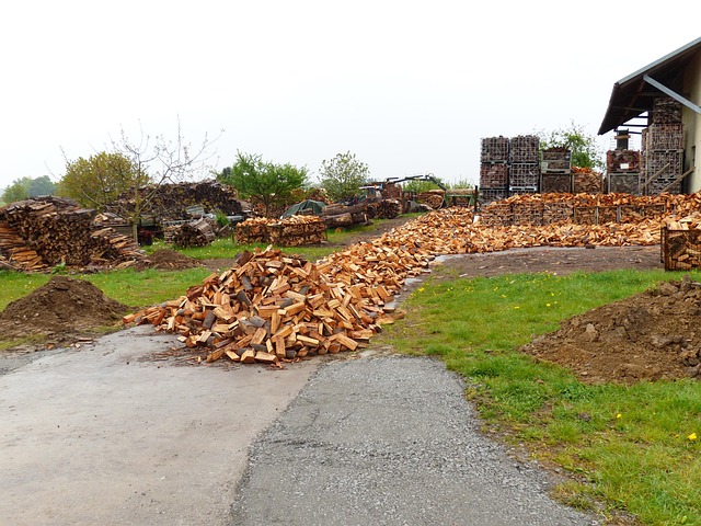 logging-timber-sawmills-forests-oregon-i-640x480-37413498.jpeg