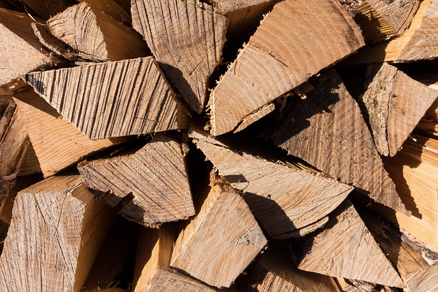 logging-timber-sawmills-forests-oregon-i-640x480-44281092.jpeg
