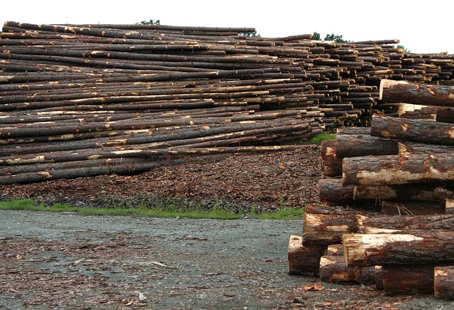 logging, timber, sawmills, forests, Oregon, industry