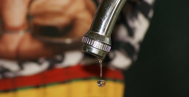 maintenance-plumbing-inspection-leak-pre-640x480-22966169.jpeg