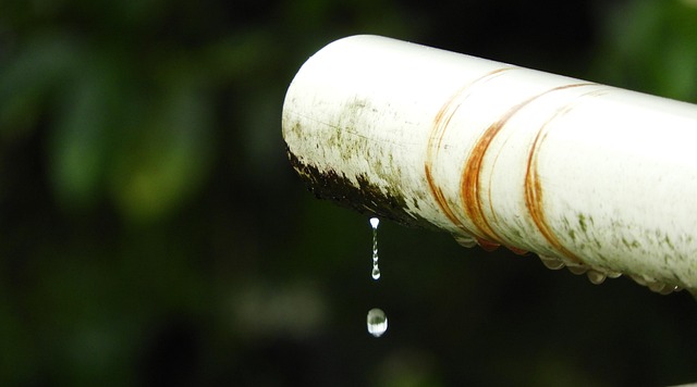 maintenance-plumbing-inspection-leak-pre-640x480-53297209.jpeg