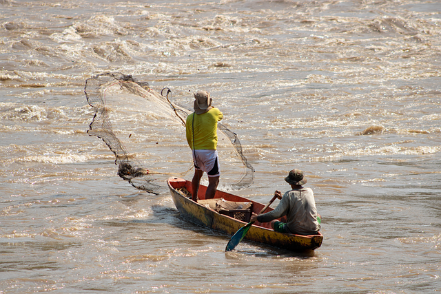 McKenzie, fishing, river, bass, flyfishing, nature