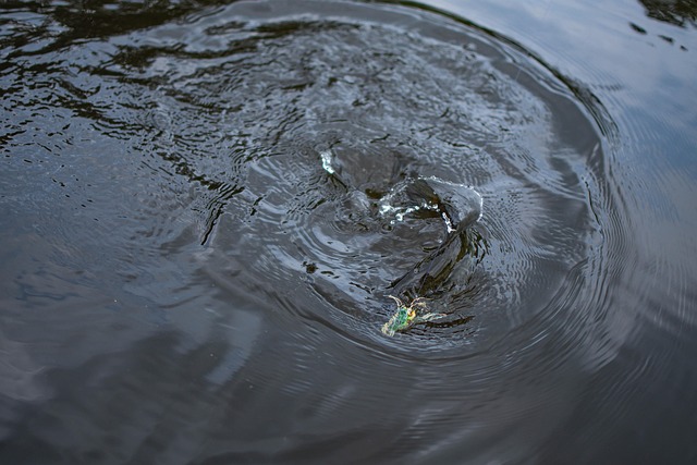 Uncover Top McKenzie River Fishing Spots: A Comprehensive Guide