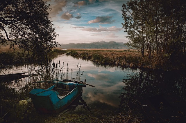 McKenzie, fishing, river, bass, flyfishing, nature