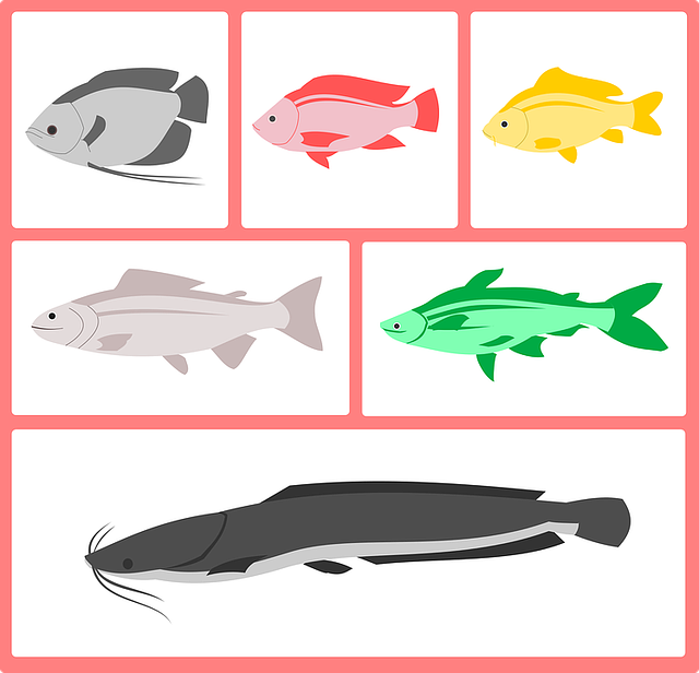 mckenzie-fishing-river-bass-flyfishing-n-640x480-94820164.png
