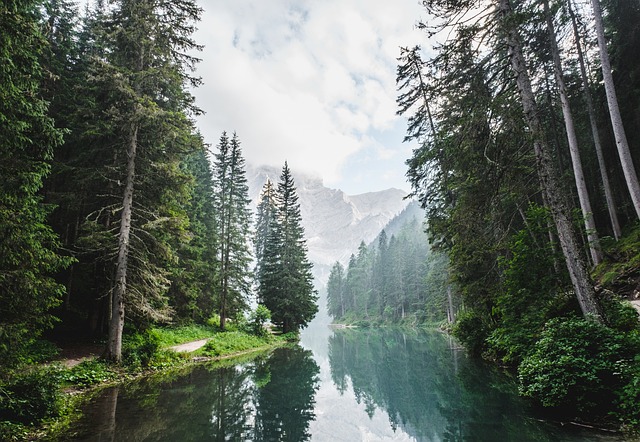 McKenzie, kayaking, river, adventure, nature, whitewater