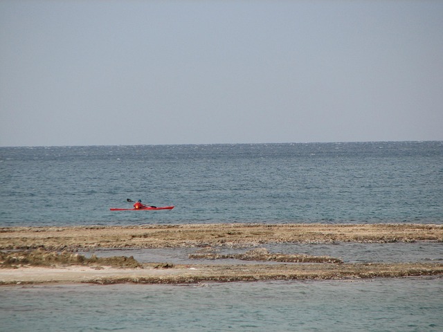 mckenzie-kayaking-river-adventure-nature-640x480-38750909.jpeg