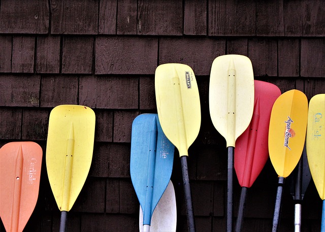 mckenzie-kayaking-river-adventure-nature-640x480-58834452.jpeg