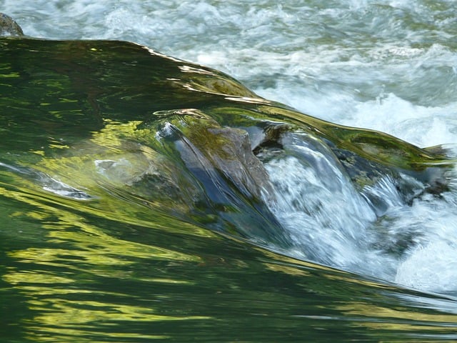 mckenzie-kayaking-river-adventure-nature-640x480-63559143.jpeg