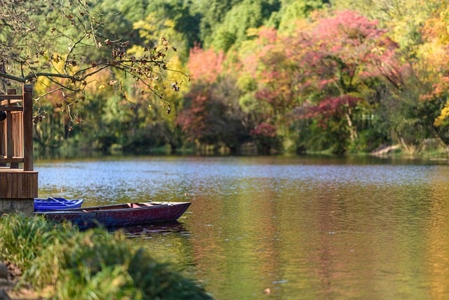 McKenzie, kayaking, river, adventure, nature, whitewater