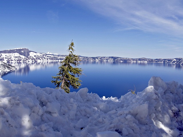 mistakes, defense, Oregon, legal, errors, pitfalls