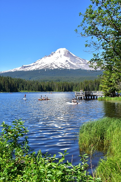 mistakes, defense, Oregon, legal, errors, pitfalls