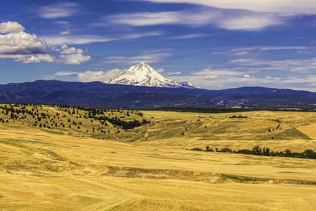 mistakes, probate, Oregon, errors, common, pitfalls