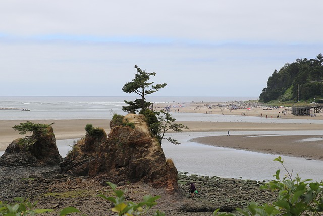 mistakes, probate, Oregon, errors, common, pitfalls