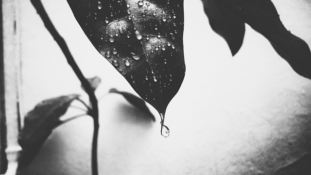 moisture