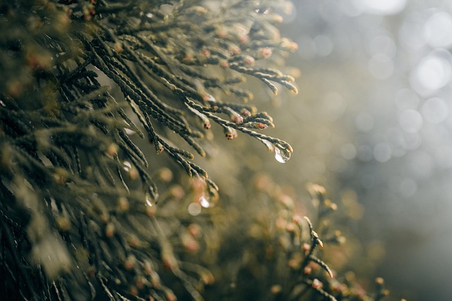 moisture