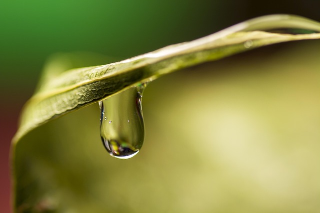 moisture
