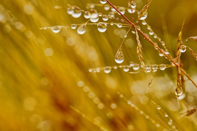 moisture