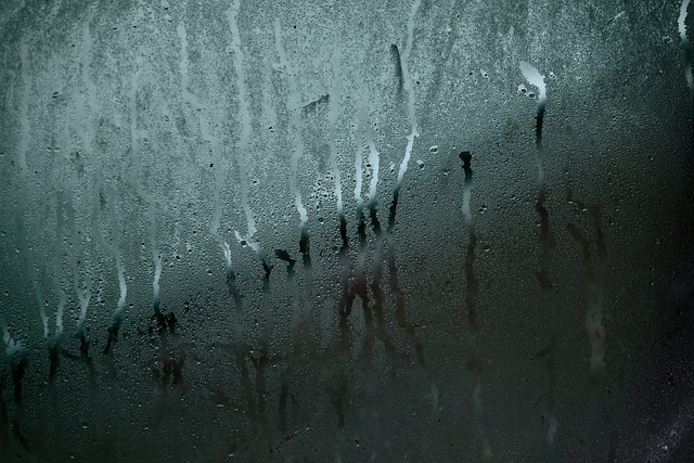 mold-moisture-house-damage-fungus-walls-640x480-10177016.jpeg