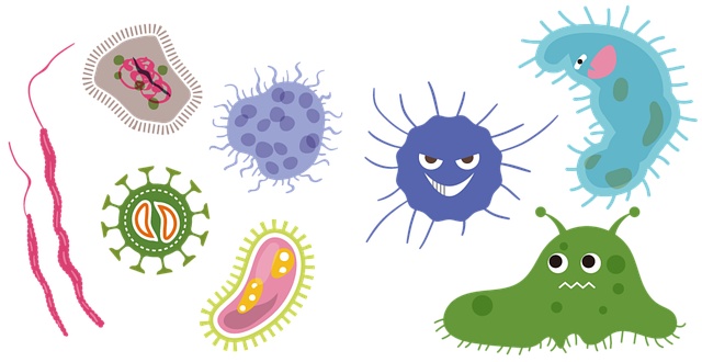 mold, moisture, house, damage, fungus, walls