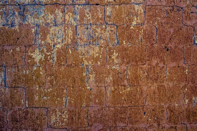 mold-moisture-house-damage-fungus-walls-640x480-93085820.jpeg