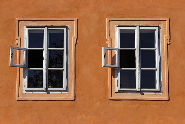 mold, moisture, house, damage, fungus, walls